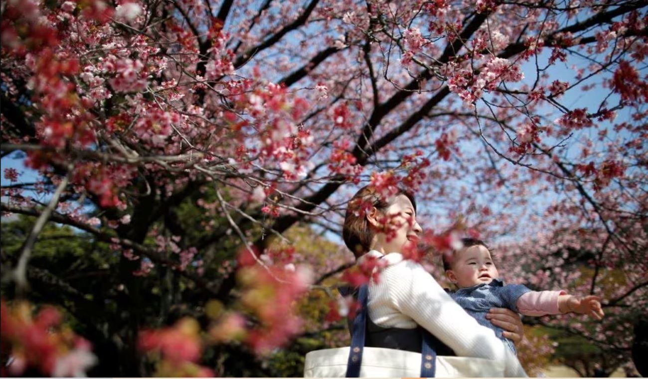 ဂျပန်၏ ကလေးမွေးဖွားနှုန်း စံချိန်တင် ကျဆင်း