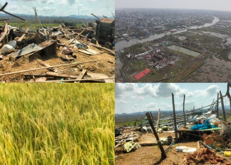 မုန်တိုင်းကြောင့် နေအိမ်နှင့် စိုက်ခင်းများ ပျက်စီး၍ ရခိုင်တွင် မိုးစပါးစိုက်ပျိုးမှု လျော့နိုင်